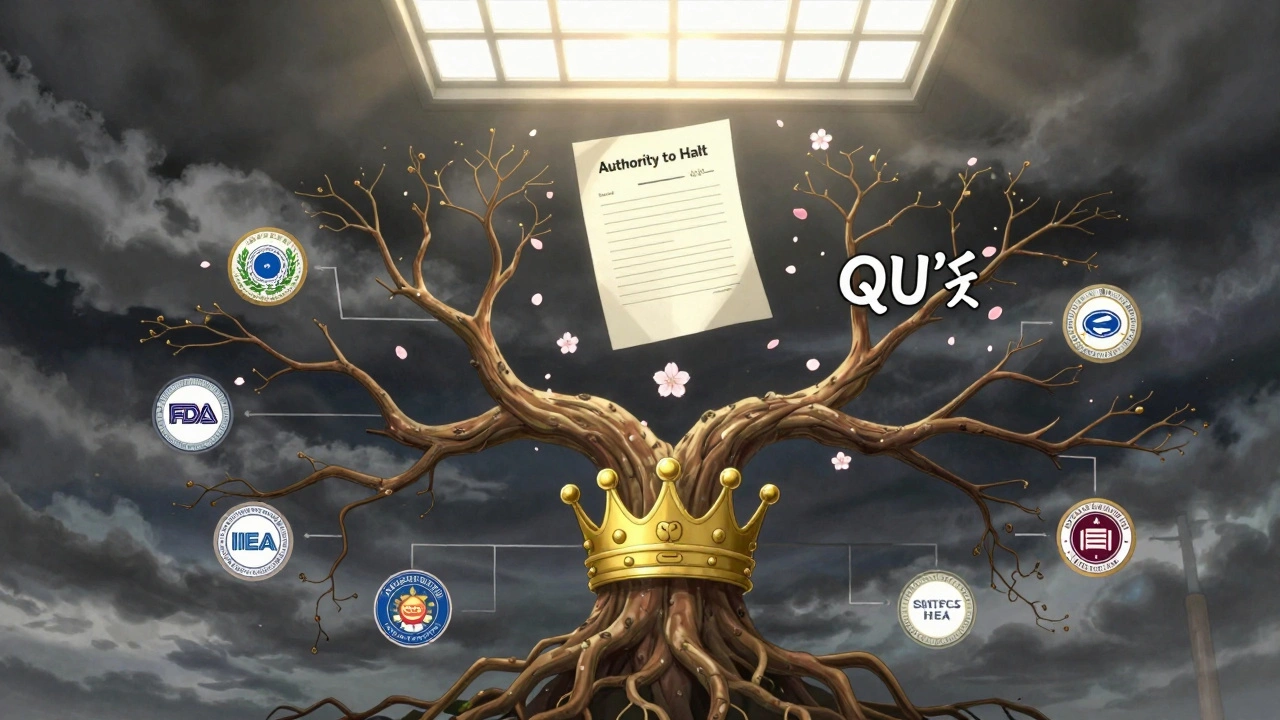 An organizational tree shows Quality Assurance growing strong under the CEO, while production withers.